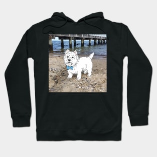 Kyo at the beach Hoodie